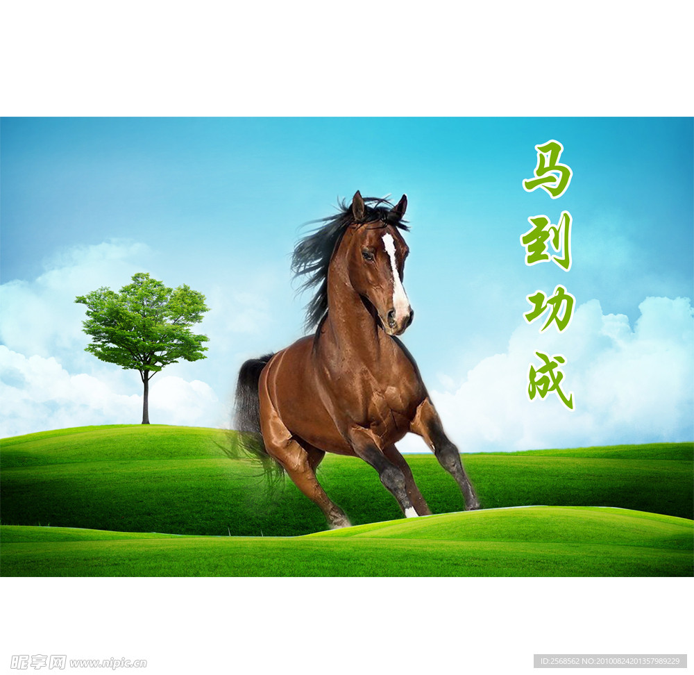 马到成功
