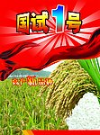 包装袋 水稻 大米 水稻田