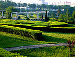 风景 公园 树木 花草 绿化