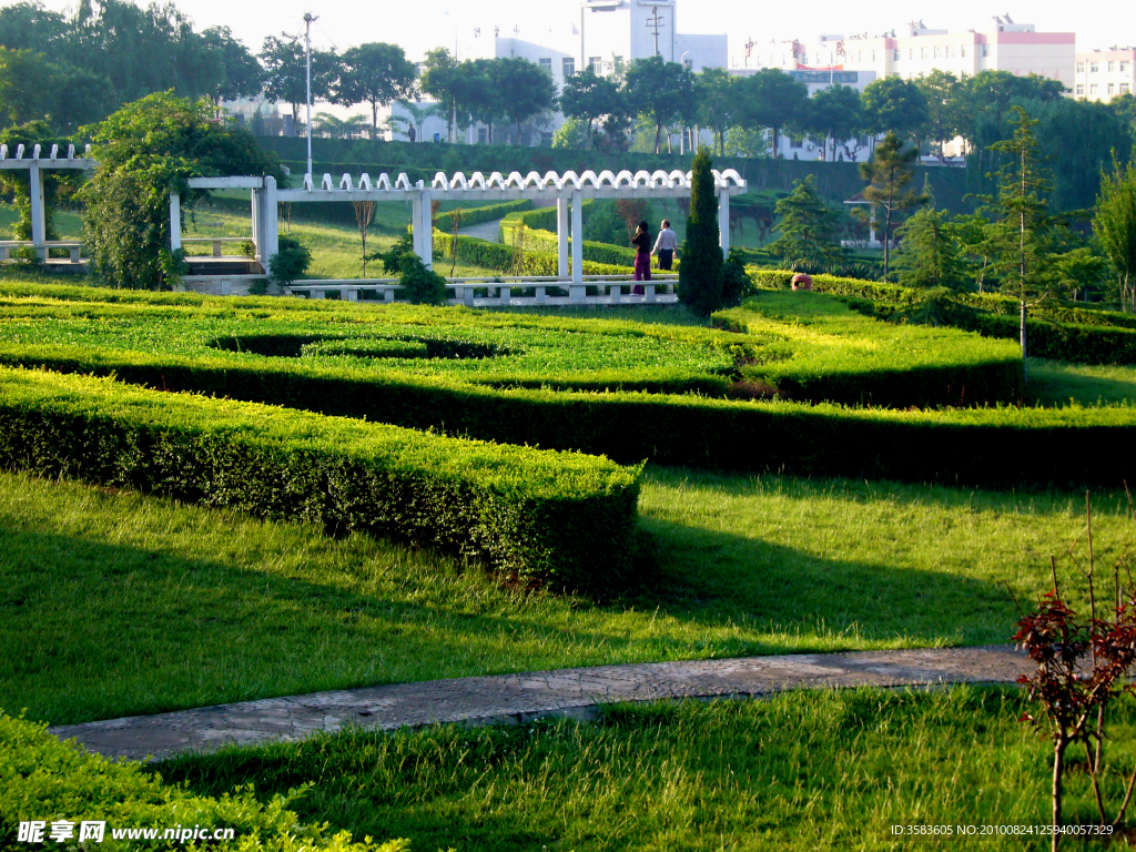 风景 公园 树木 花草 绿化