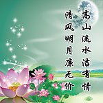 荷花 挂图