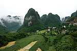 雨后的高山 稻田 农村