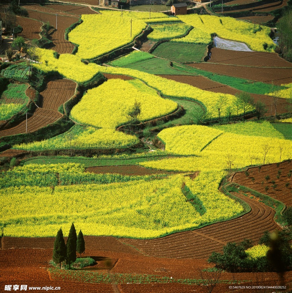 田园风光