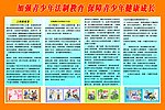 学校展板