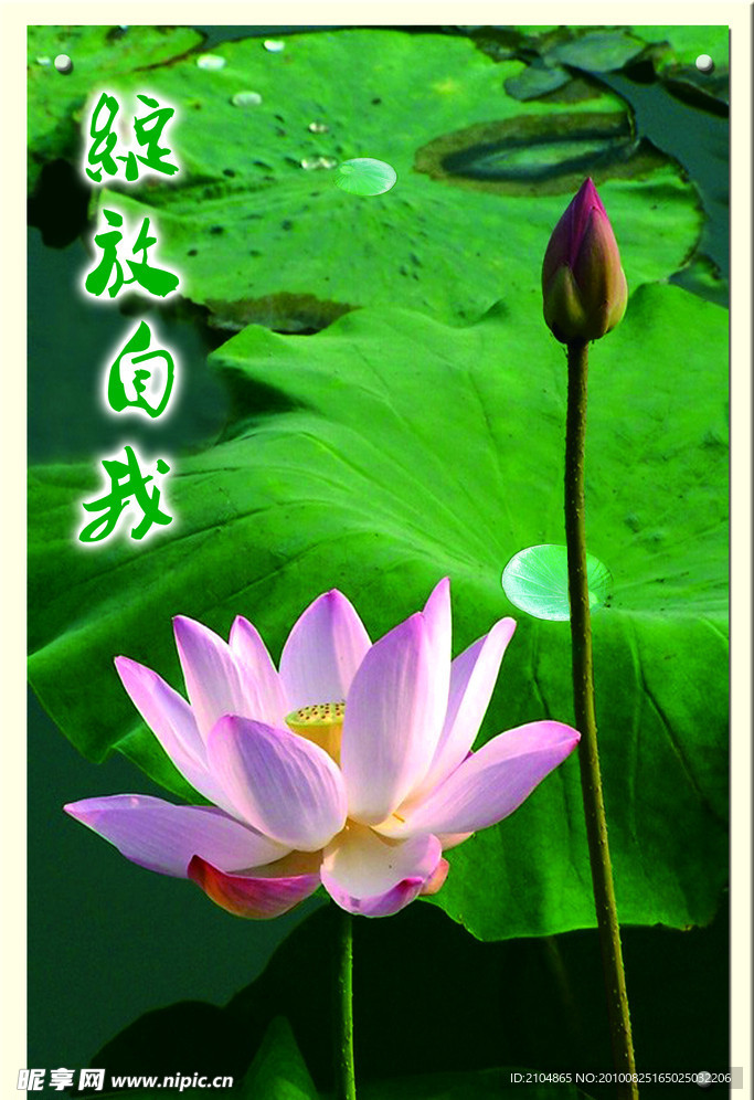 绽放自我