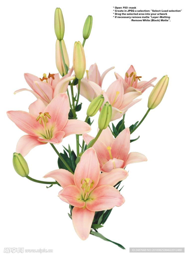 花束