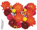 花篮