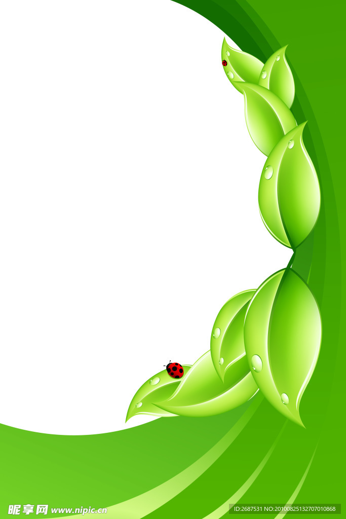 绿叶瓢虫