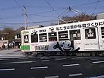 日本