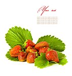 草莓高清图片