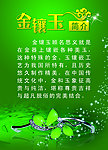 金镶玉