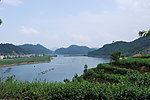 湖畔茶园