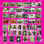 花店写真