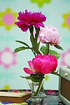 花艺欣赏