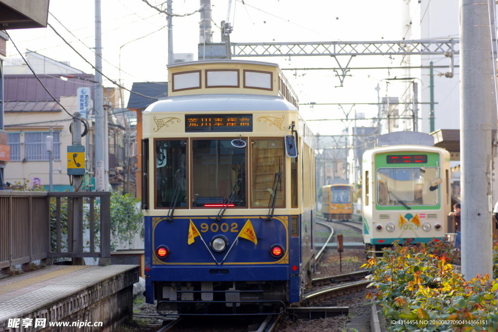 日本