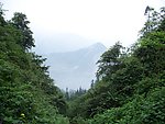 青城山水