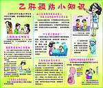乙肝预防知识宣传栏