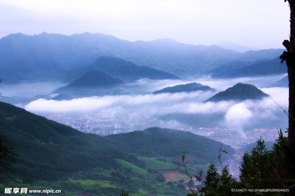 高山云雾