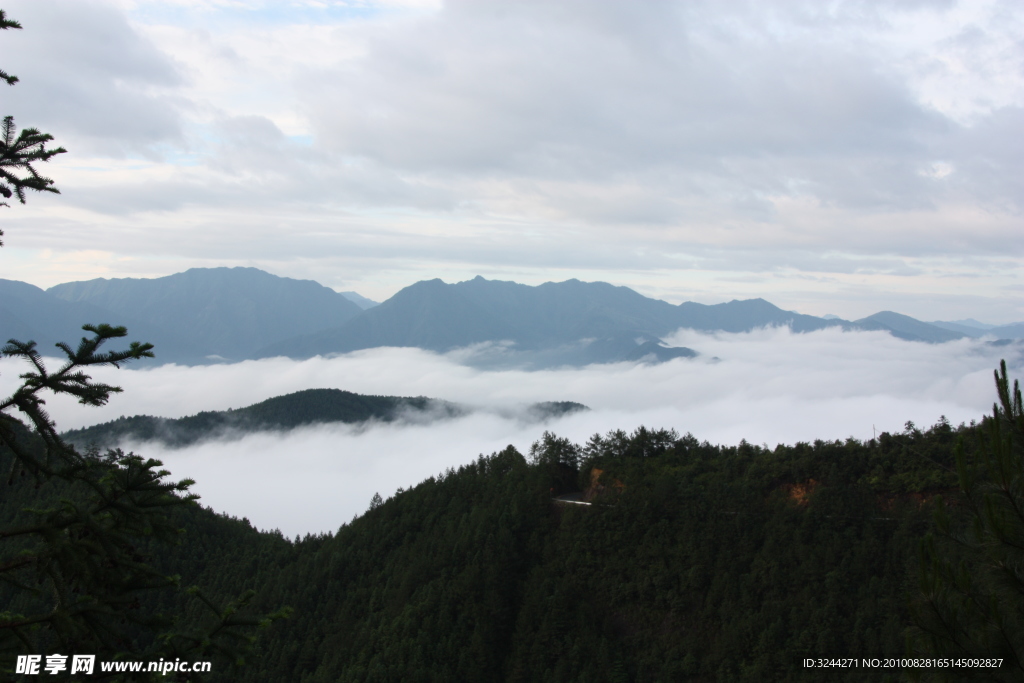 高山云雾