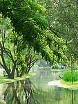 夏日风景