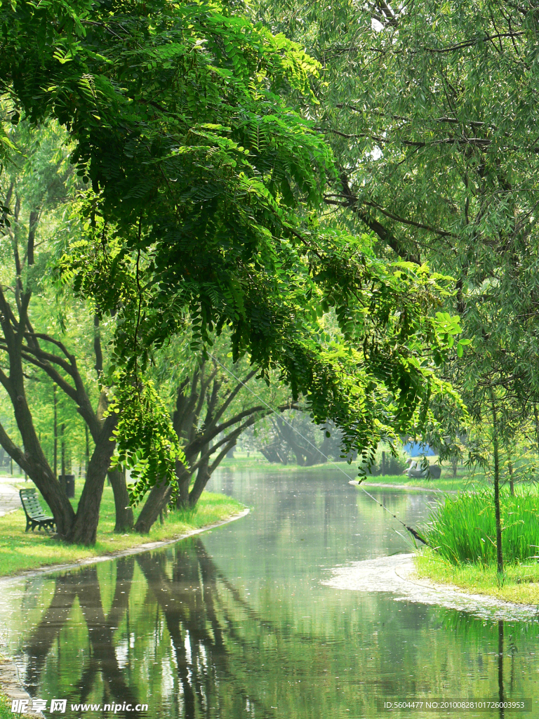 夏日风景