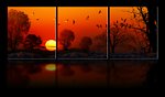 夕阳飞鸟无框画设计
