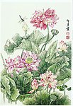 国画 荷花 花鸟 蜻蜓 池塘