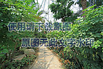 植物园