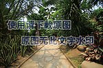 植物园