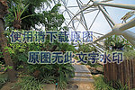 植物园