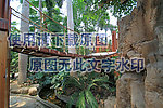 植物园