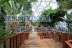 植物园