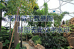 植物园