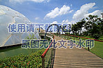 栈桥