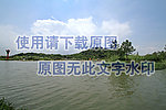 青山绿水