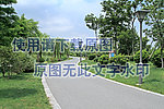 公园小径