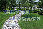 公园小径