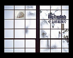 随机显示图片