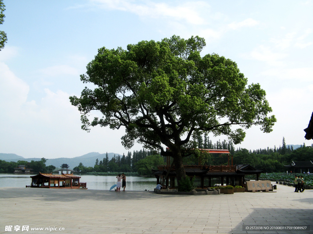 西湖风光