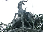 五羊