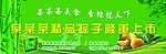 端午节展销