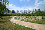 公园小径