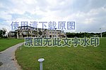 草坪