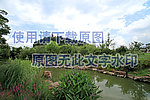 青山绿水