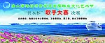 歌手大赛