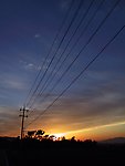 夕阳