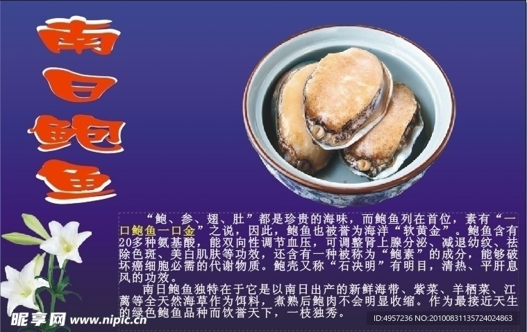 南日鲍鱼