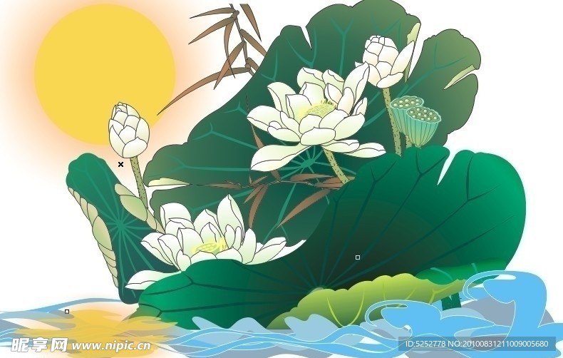 荷花映月