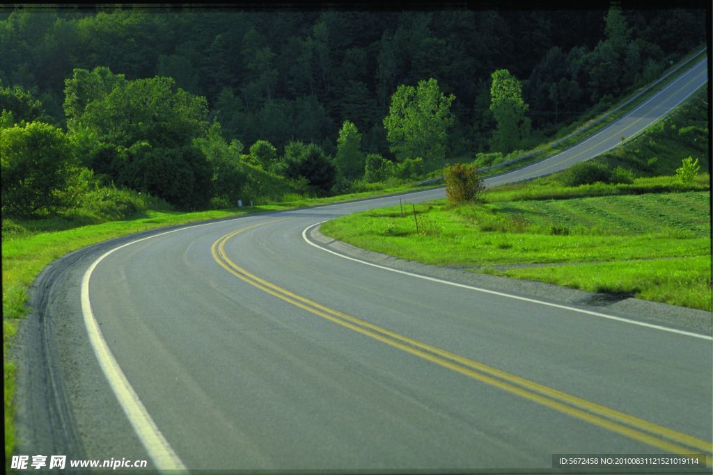 绿林道路