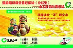 中国人寿
